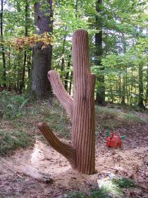 100_2986.JPG