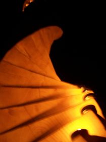 100_4541.JPG